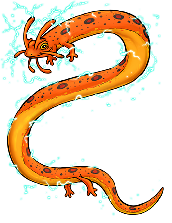 Gwatkaroe's design is a composite of an Eastern Newt, a Congo Eel and an Electric Catfish. Its breeding habits were inspired by the extinct Gastric Brooding Frog. Gwatkaroe01